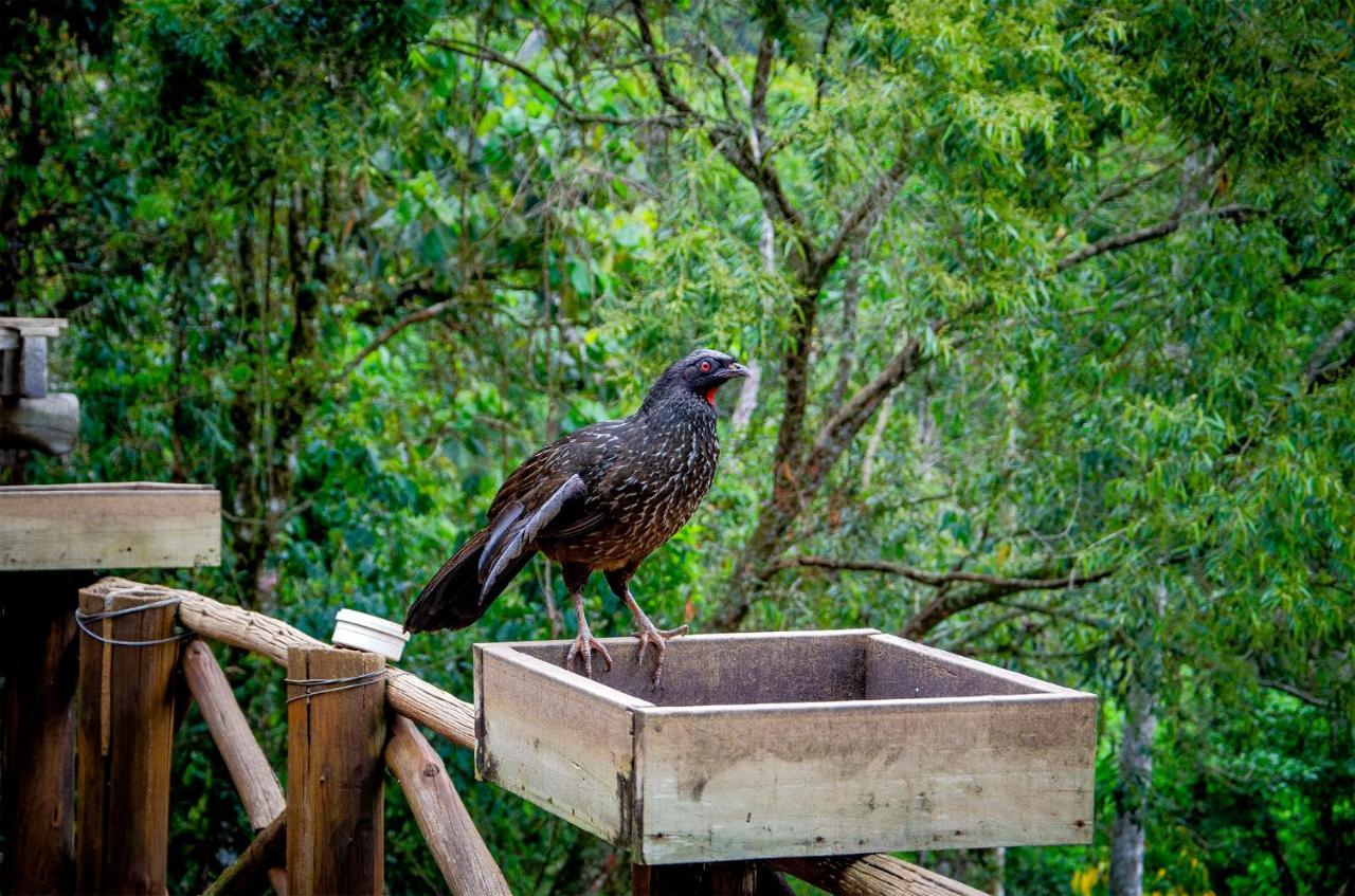 Pousada Rancho Das Framboesas Visconde De Maua Esterno foto